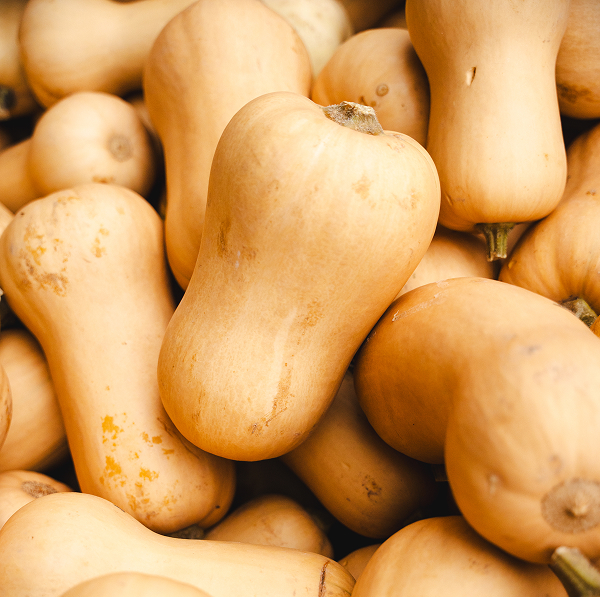 courge butternut bio