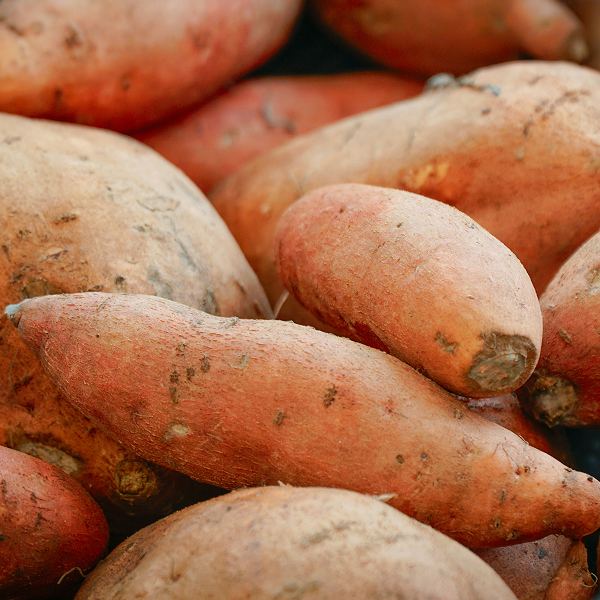 patate douce