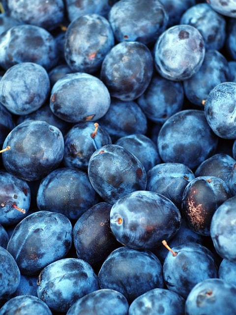 prune bleue bio