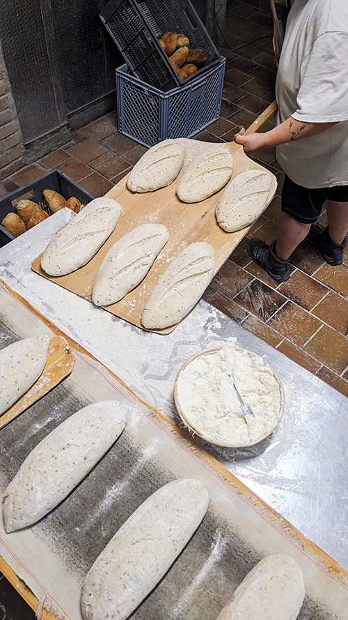pains avant cuisson Fabiopain alsace
