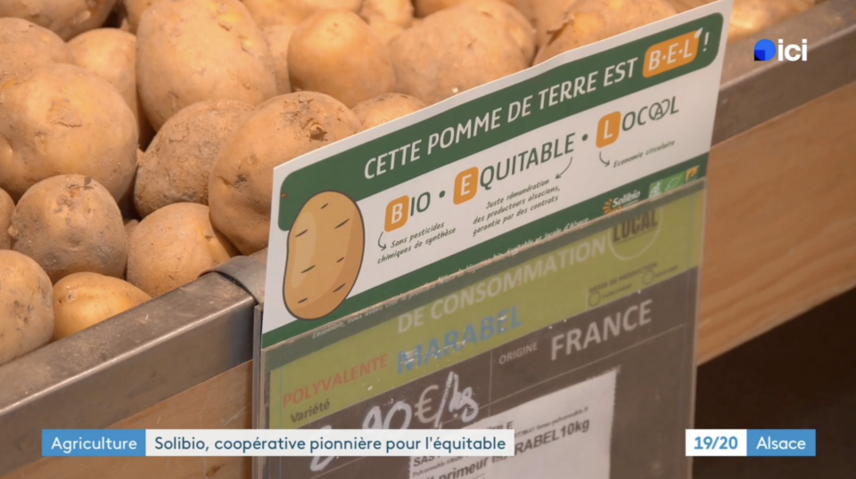 pomme de terre bio alsace equitable
